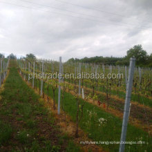 powder coating metal vineyard post/grape post